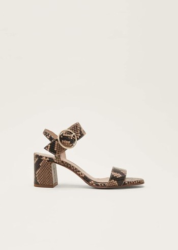 Phase Eight Snake Skin Leather Buckle Heels Snake USA | 2653790-FP